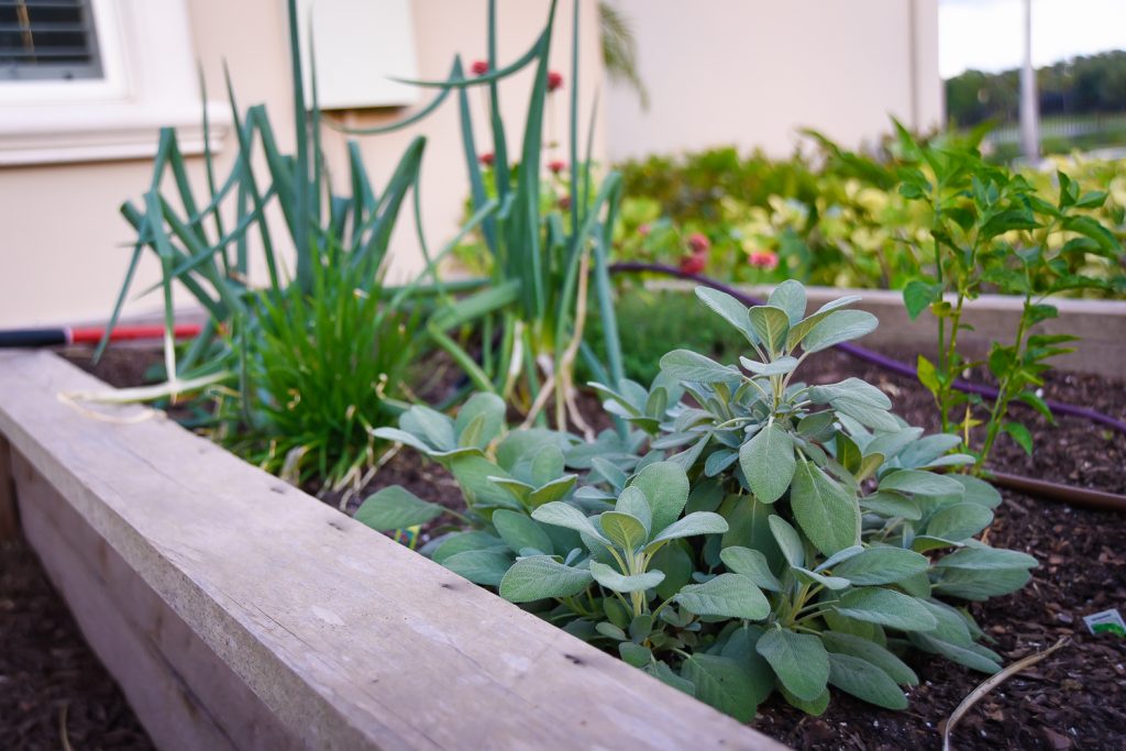 Herb and Vegetable Box Michael A. Gilkey, Inc.