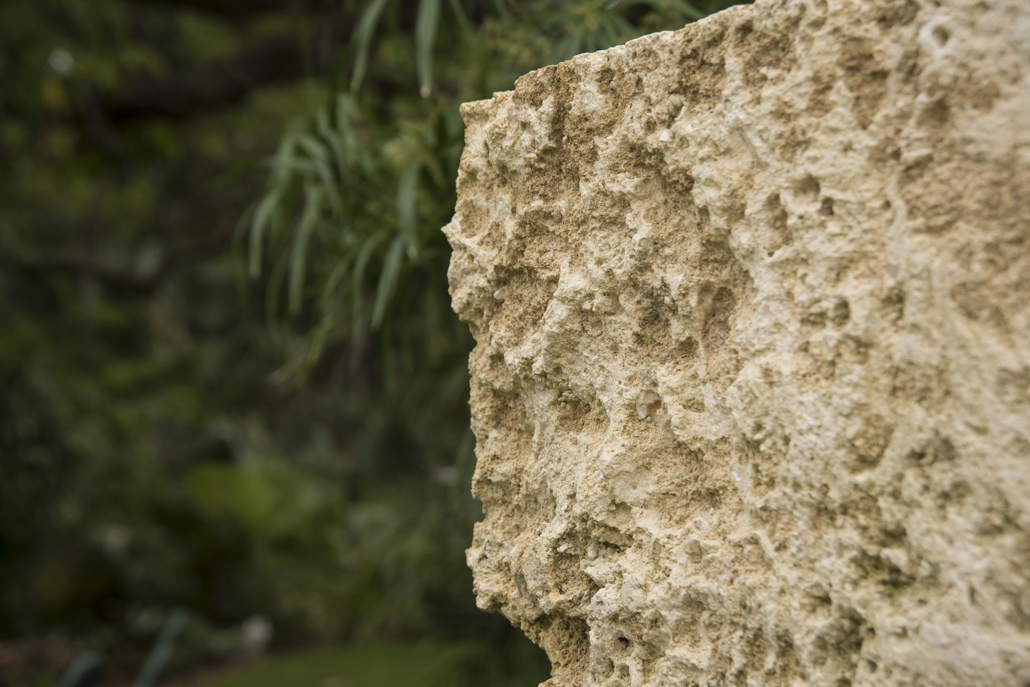 miami oolite limestone